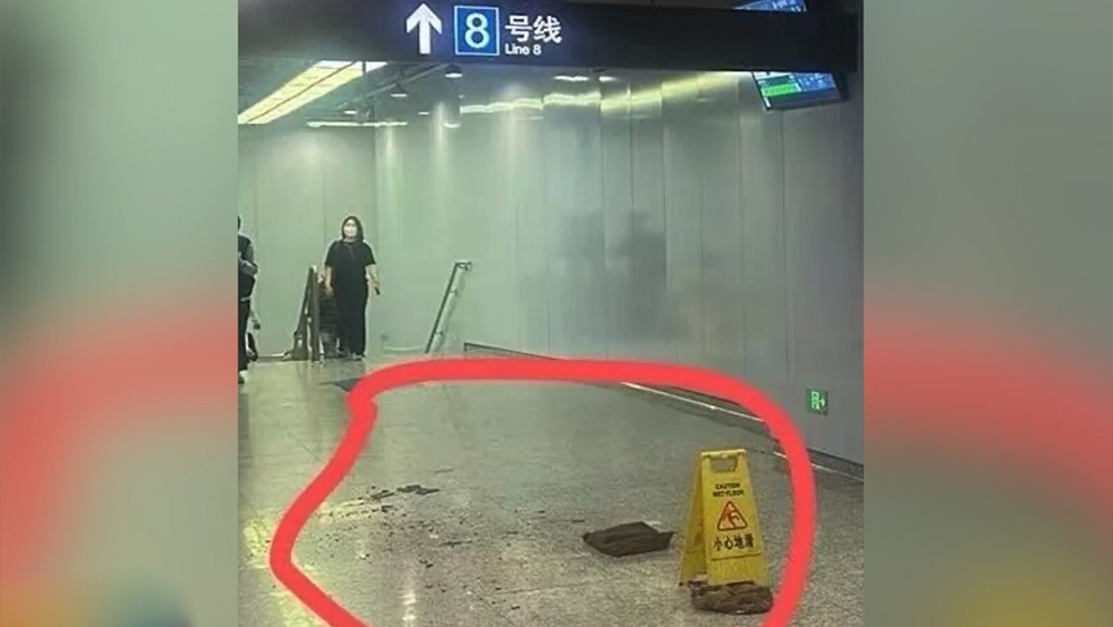 听泉鉴宝被指塌房四大疑问待解