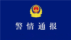 广西发现新物种阳朔风筝果