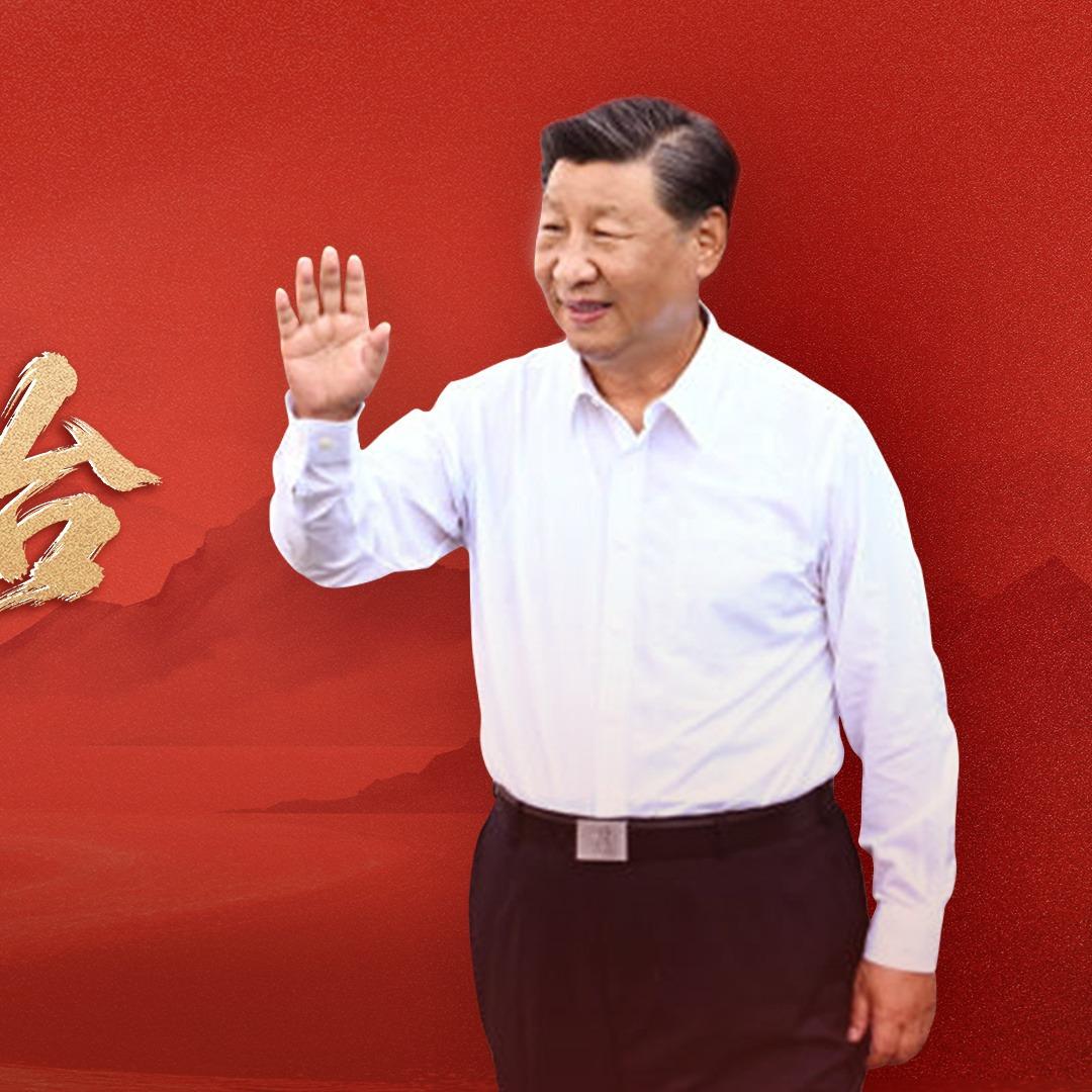 台湾当归
