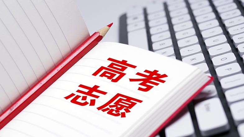 外逃鸡西原副市长涉案逾亿