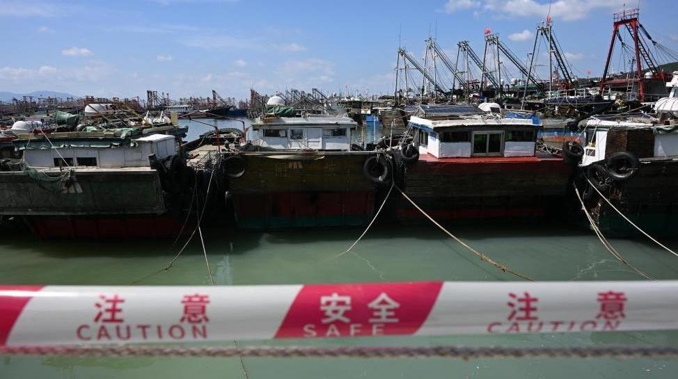 云南保山端午“赶花街”：花香药香 氤氲满城