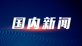 林诗栋比张本智和