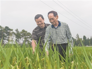 解放军视角超近距离看台湾