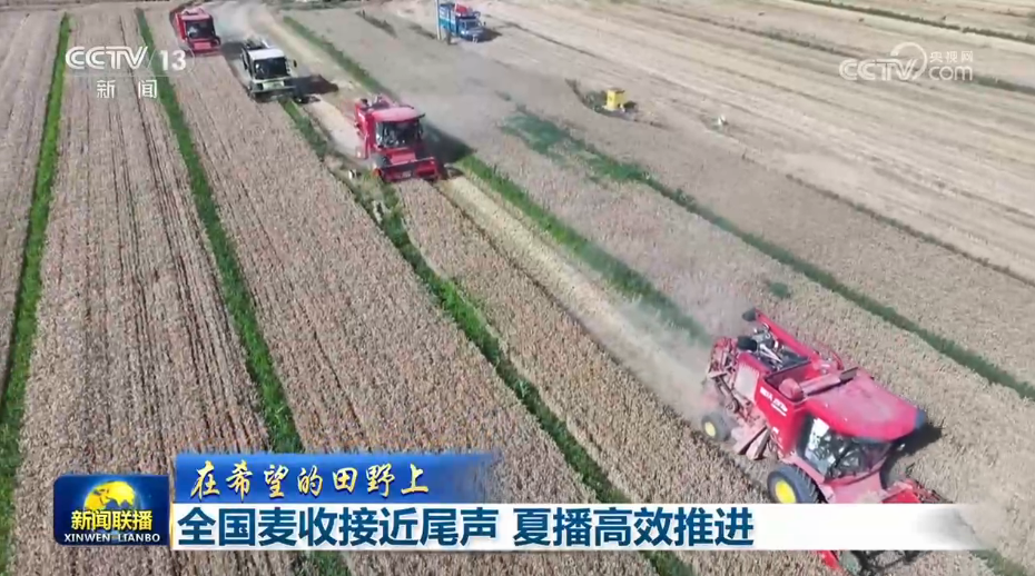 王毅将访问丹麦、瑞典、芬兰、挪威