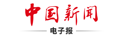 林诗栋张本智和