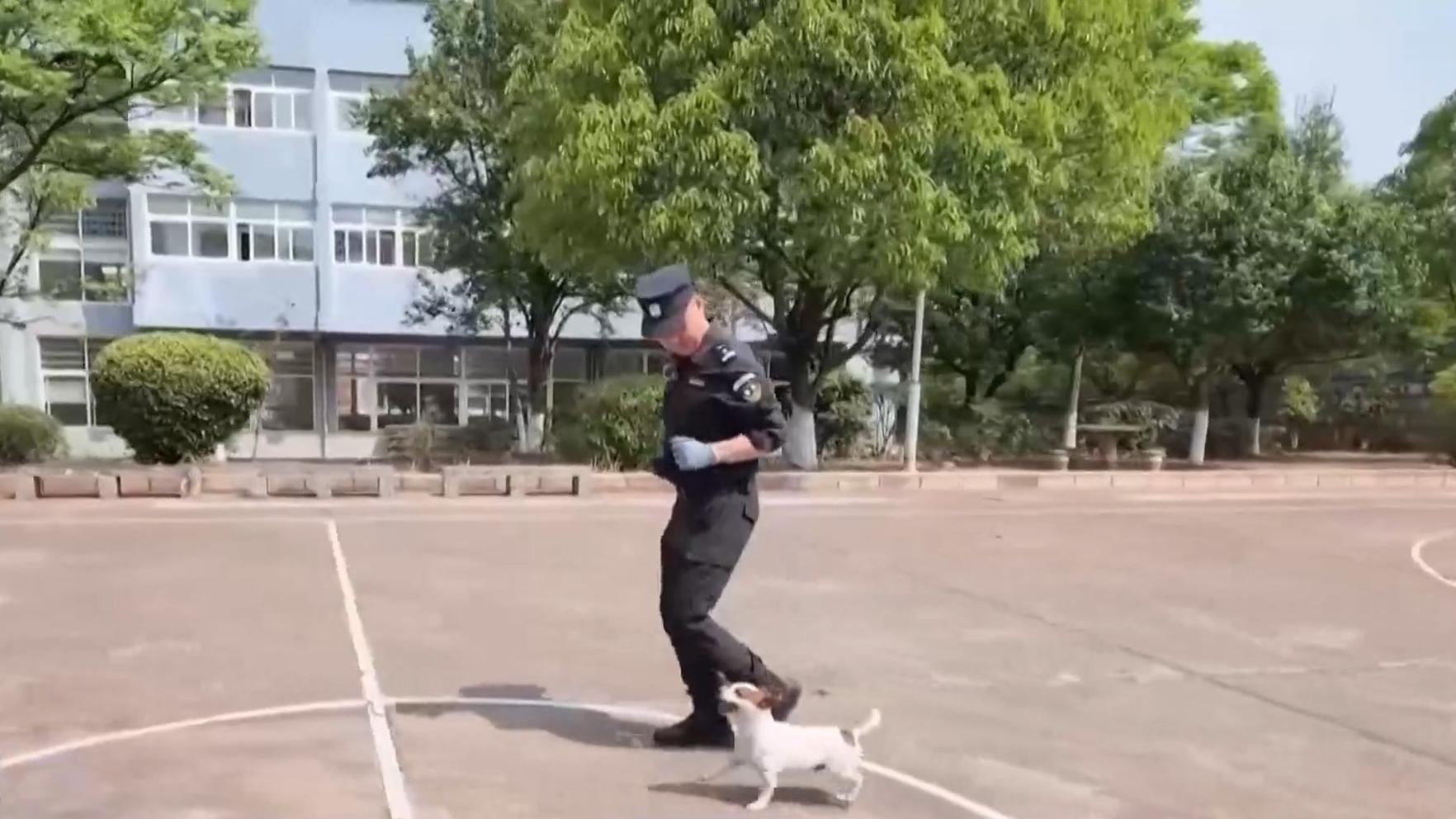 岚图知音上市万元起