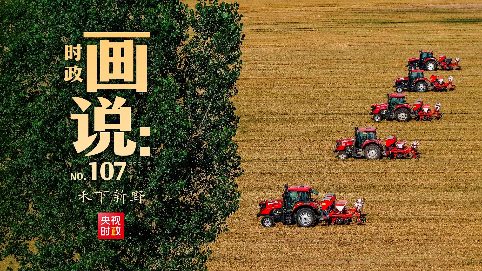 免费在线观看