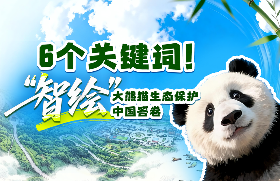 长焦镜头里的中国